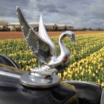 PACKARD LIEFHEBBERS