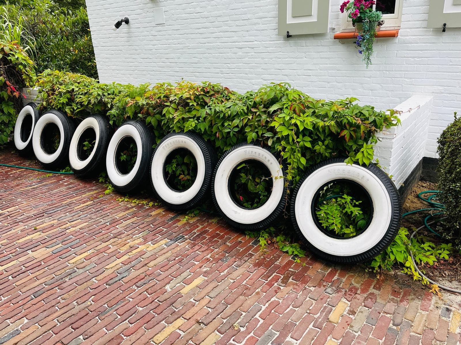 Studebaker Power Hawk V8 1956 + 7 witte flank banden - thumbnail 2